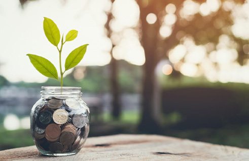 Jar of coins with a plant growing out of it